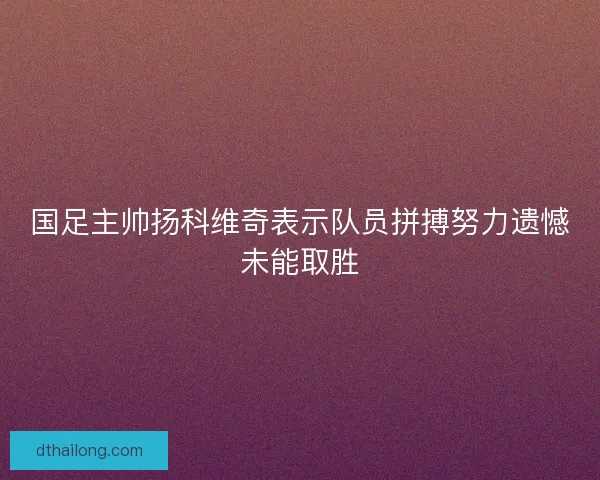 国足主帅扬科维奇表示队员拼搏努力遗憾未能取胜