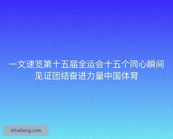 一文速览第十五届全运会十五个同心瞬间见证团结奋进力量中国体育