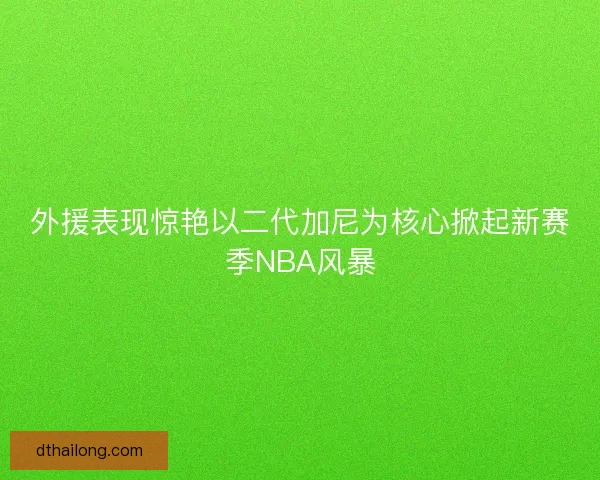 外援表现惊艳以二代加尼为核心掀起新赛季NBA风暴